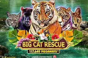Big Cat Rescue Megaways